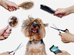 Vignette du commerce