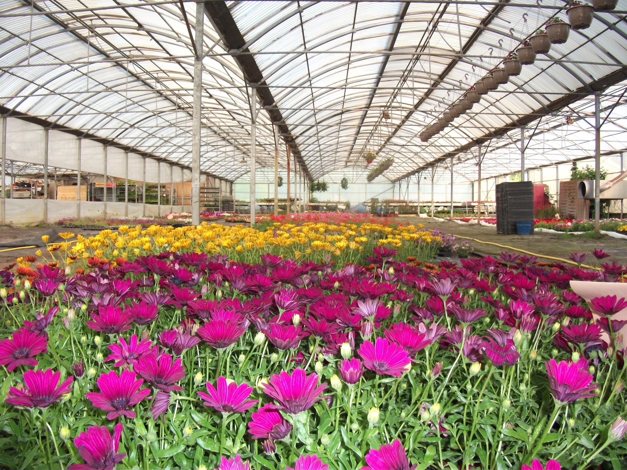 Vignette du commerce